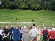 EL180921-60 - Emma Lavelle Stable Visit